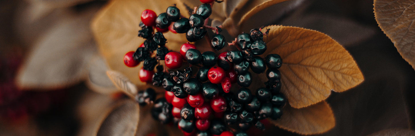 Summertown - No. 5141 | Candle | Wild Berries + Oakmoss