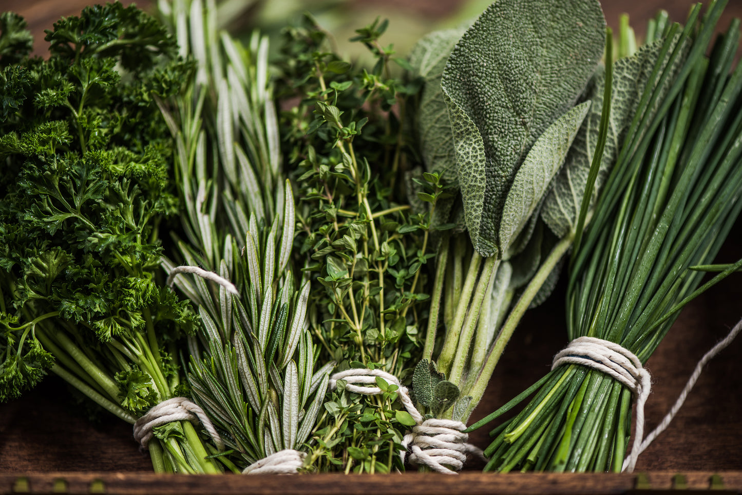 Uraidla - No. 5154 | Candle | Verdant Greens + Sage