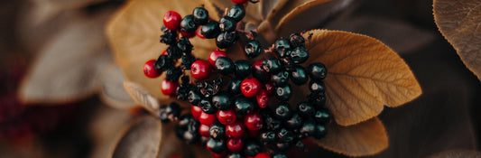 Summertown - No. 5141 | Candle | Wild Berries + Oakmoss